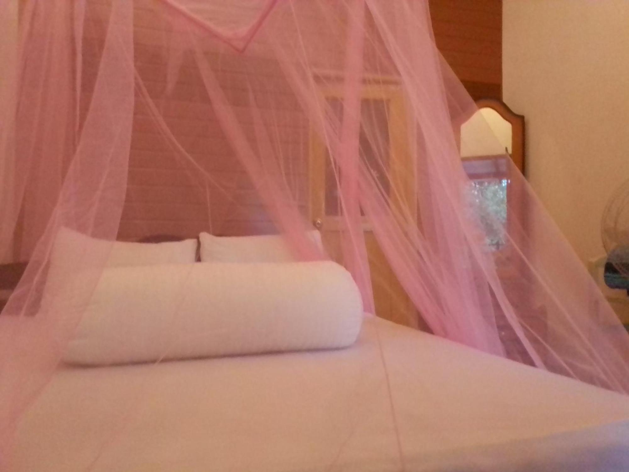 Talblick Homestay Ella Rom bilde